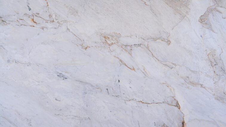 Calacatta Michelangelo Dolomite 15245 High Res