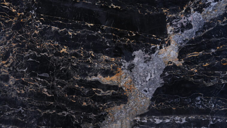 Portoro Marble 12227 High Res